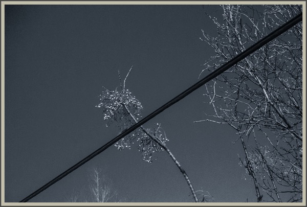 Digital00055prankser