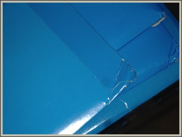 Digital06279prankser