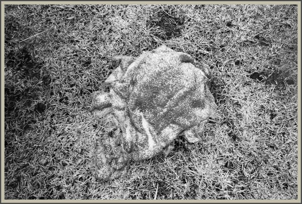 Digital00588prankser