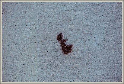 Digital01875prankser