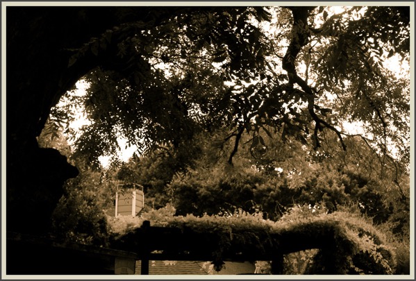 Digital02527prankser