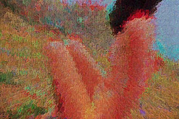 digitalPrankster 2421