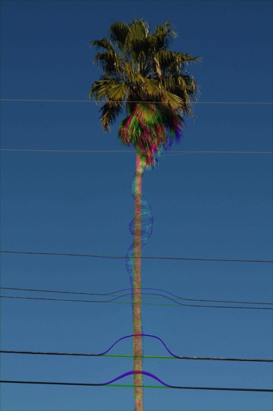 digital0118prankster