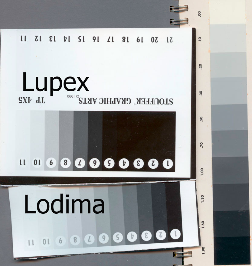 Lupex v Lodima