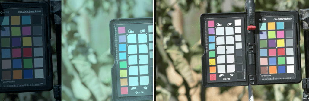 3 software interpretations