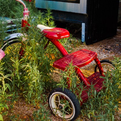 Dye Transfer Fantasy